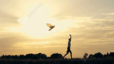 Silhouette of a boy running with a kite on the field at sunset
