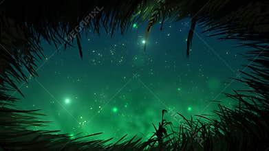 Grass at night with fireflies loop