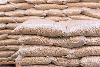 Renewable energi- biomass