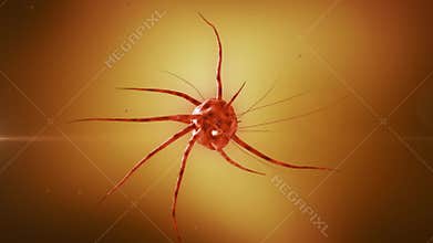 Oncology. Mutating cell virus of zika, virus of ebola, AIDS. 3D animation