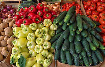 Fresh vegetables in farmer`s market