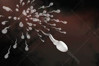 Swimming sperm
