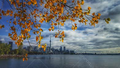 Toronto Autumn