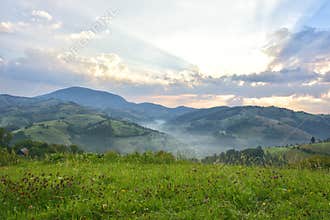 The Beautiful alpine meadow with green grass. sunrise. landscape on wild transylvania hills. Holbav. Romania. Low key, dark backgr