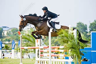Premier Cup Equestrian Show Jumping