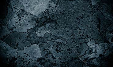 Lichen on rock abstract background/ Abstract backdrop of lichen and stone / Rough texture background