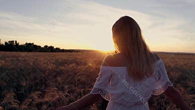 Romantic girl in a white dress walking in the golden wheat fields in the sun
