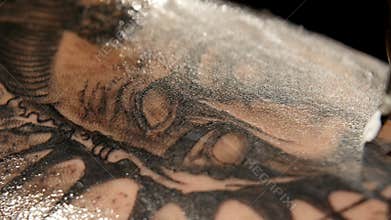 Tattoo artist make tattoo in studio, tattooing on the body. close up