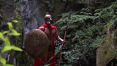 Medieval warrior in the woods