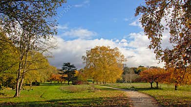 `Bois de Boulogne` park in Paris, France in autumn