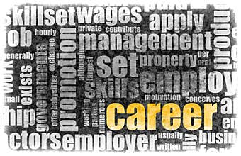 Career