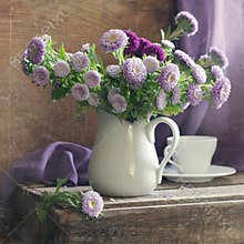 Lilac asters