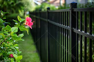 Black Aluminum Fence