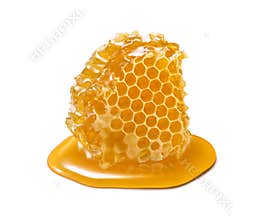 Honeycomb piece. Honey slice isolated on white background