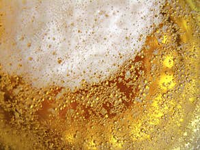 Beer Texture
