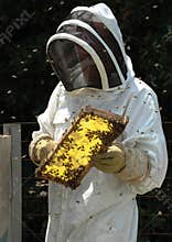 Beekeeper