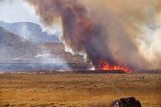 Wildfire