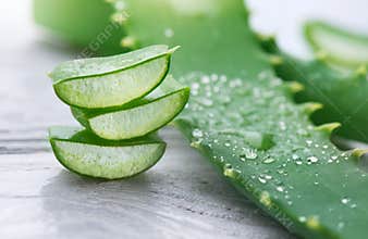 Aloe Vera closeup. Sliced Aloevera natural organic renewal cosmetics, alternative medicine. Organic skincare concept