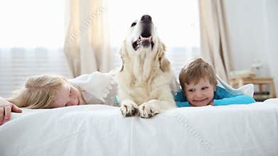 Life of domestic pets in the family. little brother and sister lie with their dog on the bed in the bedroom.