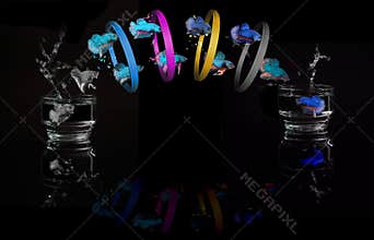 Fighting Fish jumping through four ring