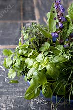 Herb Garden