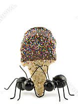 Black Ants Carrying Ice Cream Cone