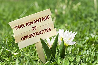 Take advantage of opportunities
