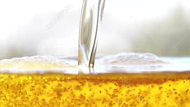 Golden beer is pouring into the glass making bubbles and foam.