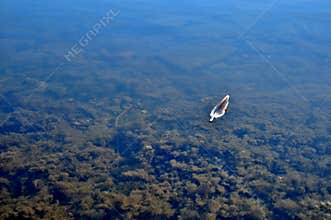 Feather floating on calm, lake water.