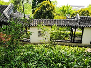 Spring in classical Suzhou garden, China