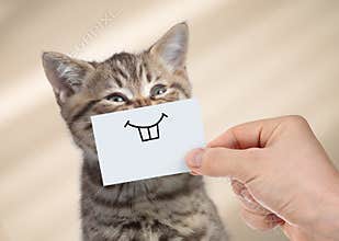Funny cat with smile on cardboard