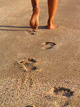 Footprint