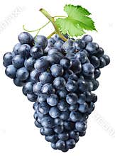 Cluster of grapes