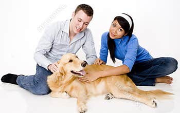 Pet Dog