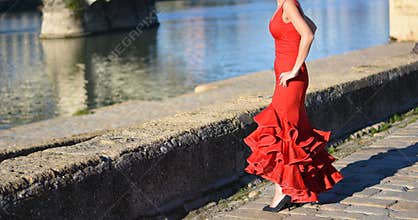 the woman in the red flamenco dress looks at the river