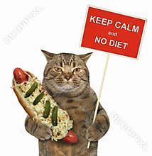 Cat with a funny sign and a hot dog 2
