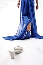 Cinderella lost shoe