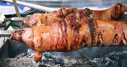 Pig Roast