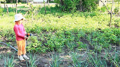 Little girl watering garden and bed. Orchard irrigation