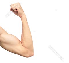 Asian men`s healthy arm muscles on white background.