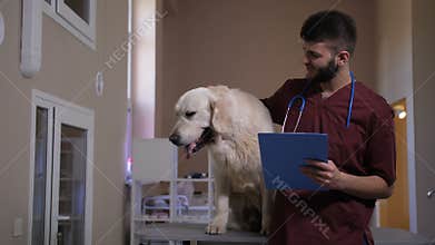 Positive vet taking notes on dog`s diognosis