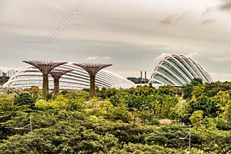 Supertrees, Supertree Grove at Gardens by the Bay in Singapore.