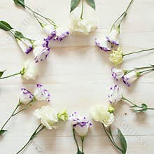 Prairie Gentian Flowers frame on white wood background