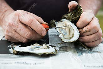 Oyster Roast with Raw Oysters on Half Shell
