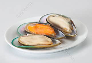 Mussels
