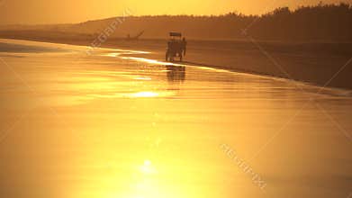 Beautiful beach with silhouette of horse carriage