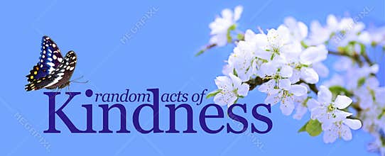 Random Acts of Kindness butterfly background
