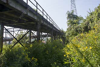 Bridge support and beams