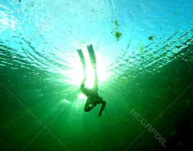 Freediver in Algae Sinkhole