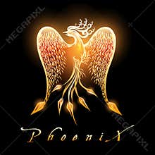 Burning Phoenix Bird on Black Background